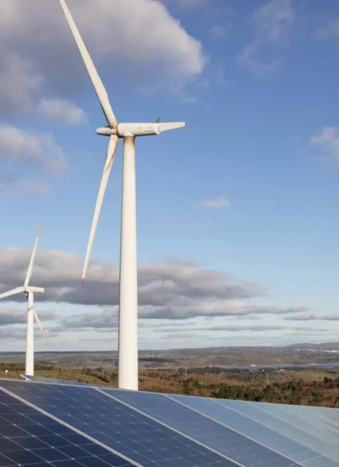 Renov&aacute;veis foram principal fonte de crescimento no abastecimento de energia
